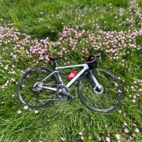まこ@日本橋自転車 (@nihonbashilady) 's Twitter Profile