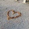 1_y_o_u_1's profile picture. おっさんの暇つぶし。宜しくお願い致します。