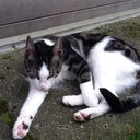 Mark Lust - @lust10000 - Twitter