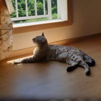 MD_Big Daddy (@badboystoo) 's Twitter Profile