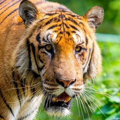 iamdawood95's profile picture. Designer