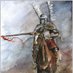 Hellenic Hussar (@hellenichussar) Twitter profile photo Hellenic Hussar (@hellenichussar) Twitter profile photo