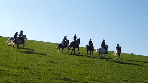 RadwayRiding's profile picture. British Horse Society Approved Riding School 2011
We offer tuition, pc/rc, and clinics for riders 4+ on our 30 well schooled horses and ponies