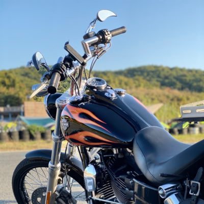 バイクを楽しむ垢 XL1200C→Fxdwg とLEAD125