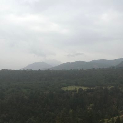 Barbara96435627's profile picture. still visit you my friends, but deeply distressed at corruptive influence a single psychopath exerts on our former social forum, & cannot abide, it DMs welcomed