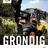 Grondig's profile image