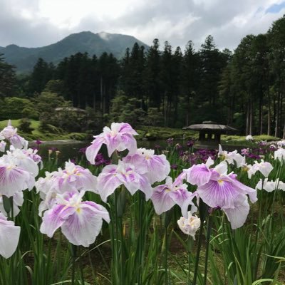 大河ドラマ朝ドラ視聴中。真田丸と平清盛を箱推し。目覚ましのアラームはいだてんテーマ曲。鎌倉殿引きずり中。寅ちゃん応援。404not found。やあやあ我こそは史学科卒の歴史オンチ。リツイート多。ほぼ閲覧用。古生物、天文、地図、発達障害にも興味あり。