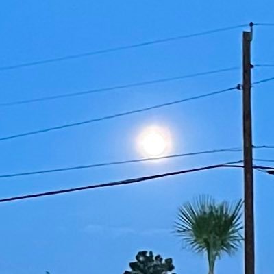 All_castaneda's profile picture. 