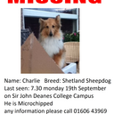 Molly Palin - @FindCharlieTDog - Twitter