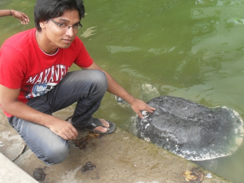 comrade1971's profile picture. student.