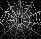 SEORickyN's profile picture. 