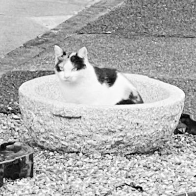 complaints_rn's profile picture. 私が私らしくあるためのID 20↑