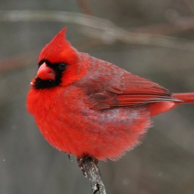Son of the cardinal and the Neretva.
Here for science and comedy
Harvard drop out.
I follow back.
Not a financial adviser
Love Star Trek