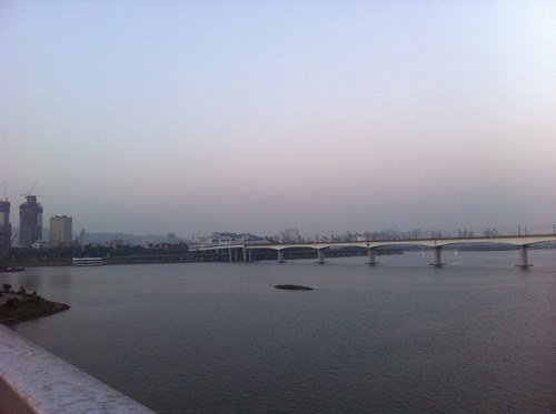 Cool_Girl0311's profile picture. 