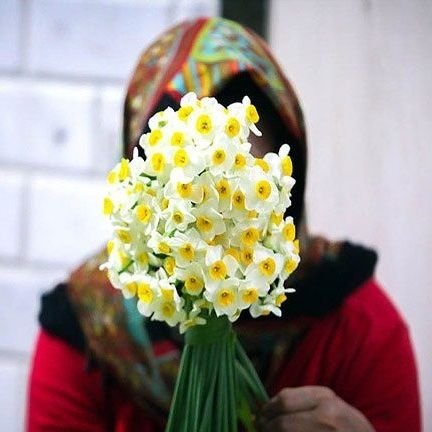 مادر یه دختر گل / علاقمند به سیاست و دین /هدفم در زندگی به انسانِ کامل تبدیل شدن است/عاشق صلحِ جهانی که در کل عالم همه گیر شود، هستم/