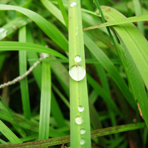 AHMedioAmbiente's profile picture. Concejalia de Medio Ambiente del Ayuntamiento de Alcala de Henares