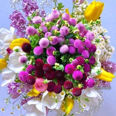 ali73735289610's profile picture. قلوبُنا أوطاِن ٺحمِلُ أمَاني خُذلت ۈاحلام شُيعَت ۈعابرين لمْ يبقَى لنا منہُم إلا أنينُ إشتيَاِق🌹