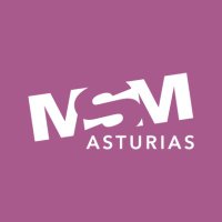 Máster Social Media Asturias(@MasterSMMAST) 's Twitter Profile Photo