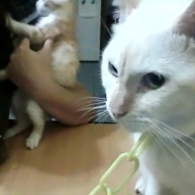 Sleepy_head011's profile picture. please send help for my furbaby bella...
#gemhostfamily l #ayuminati l #emzymesfam l #hazelkimfam l #sooperstars
manifesting surprise dm!
BIG WIN  ☘️