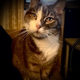 etiennegauguin's profile picture. 