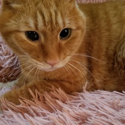 Ruby297616424's profile picture. ♡