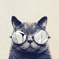 αтαнαи (@atahan2020) 's Twitter Profile