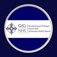 Bryngolau Ward PPH🌈👩🏼‍⚕️(@HDUHBBryngolau) 's Twitter Profile Photo