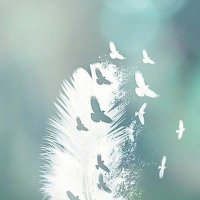 Mohamed Ragab (@mohamed77100579) 's Twitter Profile