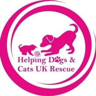 HDCUK_Rescue's profile picture. We are a non-profit animal rescue based in Basingstoke. We rescue, rehabilitate and re-home Dogs and cats here from the pounds in the uk.