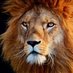 Rey leon (@reyleon314) Twitter profile photo Rey leon (@reyleon314) Twitter profile photo