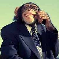 Alpha_eng (@alpha_eng2) 's Twitter Profile