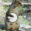 Look A Squirrel (@reds_herring) 's Twitter Profile