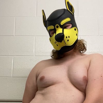GoldenPupIcarus's profile picture. NSFW 18+ only, 23, I’m a pup and enby femboi, Into watersports, fisting, choking, biting, spanking, wax, and more 😉 Tip me? ❤️ I'll give you something special