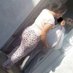 ليبي ليبي (@lybylyb92738222) Twitter profile photo ليبي ليبي (@lybylyb92738222) Twitter profile photo