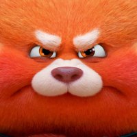 DIMOO (@momojung76) 's Twitter Profile Photo DIMOO (@momojung76) 's Twitter Profile Photo