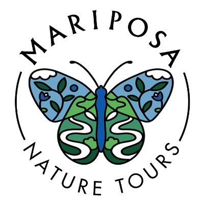 Expert-led butterfly & botany tours
