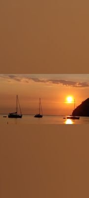 GiovannaPoli_EP's profile picture. 