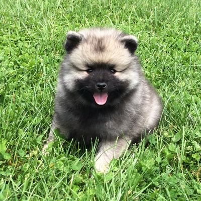 pea2024's profile picture. ❤️🇺🇸 Christian. Patriot. Breast Cancer Survivor. Proud Daughter of a Retired LEO & USAF Veteran.  Fins Up!