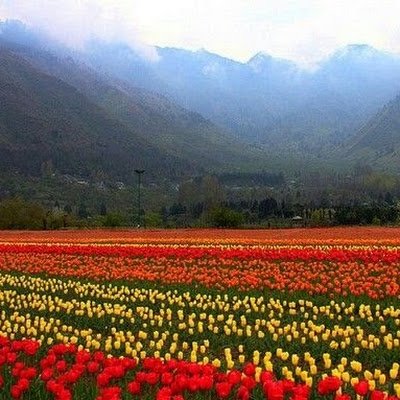 THOPrantij's profile picture. 