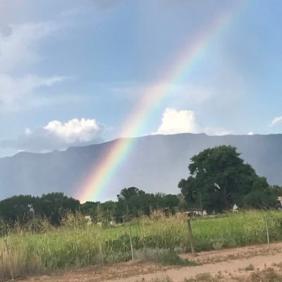 AmaliaTomlinson's profile picture. Planeación comunitaria, educación especial. Autora de Mi Hijo va a ser Feliz, guía para una educación especial efectiva. El el contexto de USA.