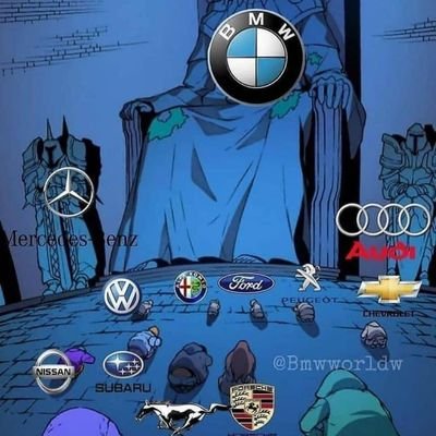 tinfe007's profile picture. Descerebrado