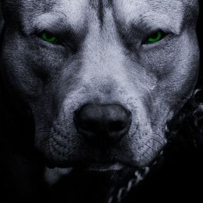 Mohammadzolfal7's profile picture. زندگی سخته