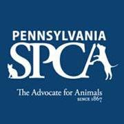 Pennsylvania SPCA(@PSPCA) 's Twitter Profile Photo