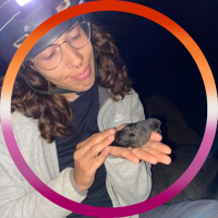 🌸 The Great Miss Y 🌈 (@blurrygirlmmb) 's Twitter Profile