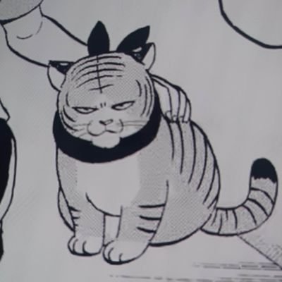 film, kucing, komik, jualan : https://t.co/GiX74fdjPn