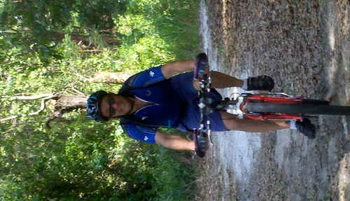 vernaybass's profile picture. bass