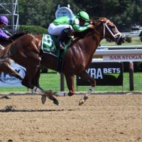 OnTheRiseAgainRacing (@ontheriseagain) 's Twitter Profile
