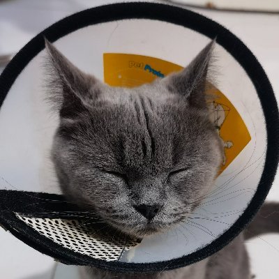 YungerMY's profile picture. Slow life