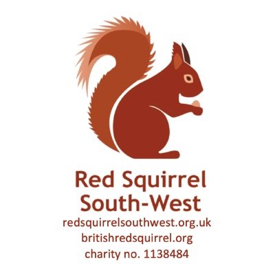 Wildlife charity in the South-West of England, aiming to restore the red squirrel to favourable conservation status. Featuring the British Red Squirrel project.