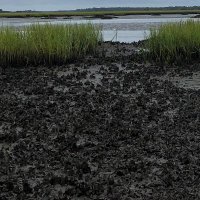 Kimbro Lab (@kimbrolab) 's Twitter Profile Photo